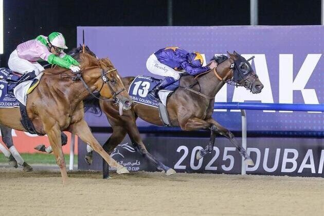 Nakheel renews Dubai World Cup sponsorship for 30th anniversary, supports $2 million Shaheen