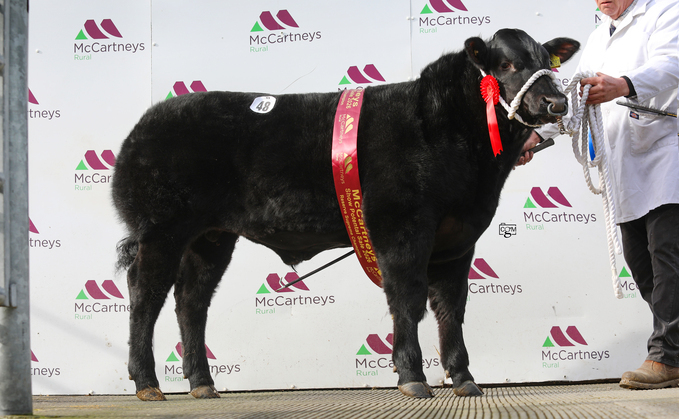 Brecon Show Potentials top at £6,700 
