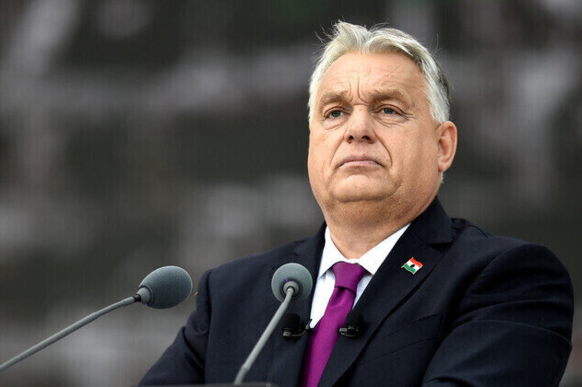 Budapest will keep fighting EUs Russian energy ban  Orban