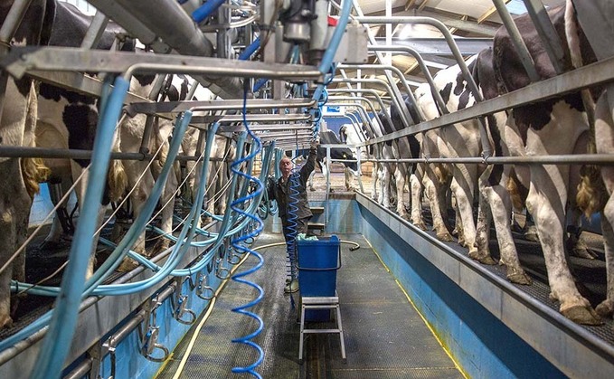 Milk spot market 'bloodbath'
