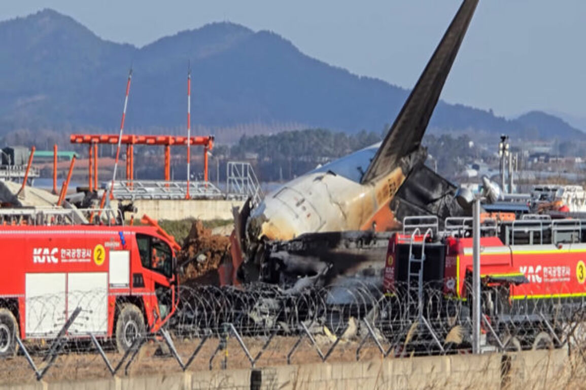 Jeju Air crash probe points to engine shutdown error after bird strike