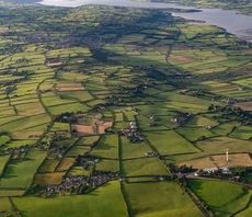 Fewer cattle and 'speculative' CO2 removal tech: How can Northern Ireland meet its 2050 net zero 'mega-target'?