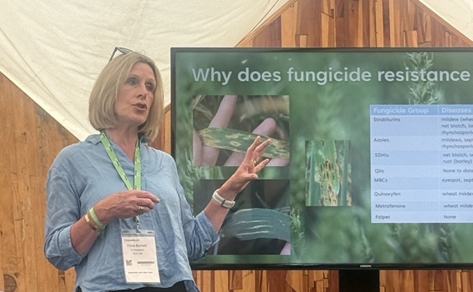 Prof Fiona Burnett