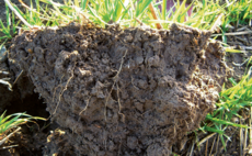 Benefits of knowing your own soil as costs rise