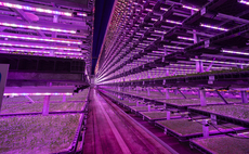 'Coming of age for UK farming tech': Jones Food Company opens second vertical farm in UK