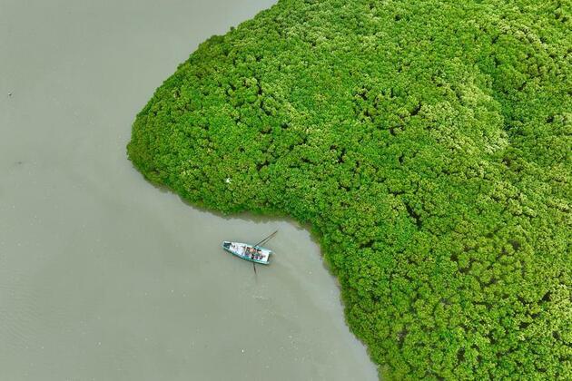 Interview: China increasingly significant in global biodiversity conservation, says British plant charity