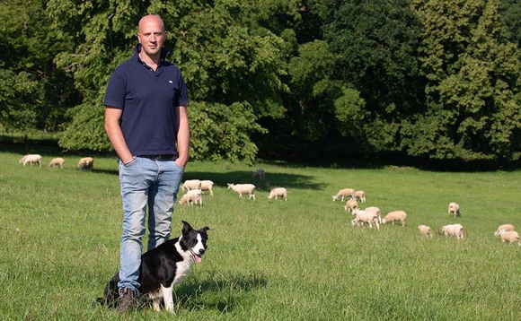 Music teacher finds joy in growing his flock - balancing the two