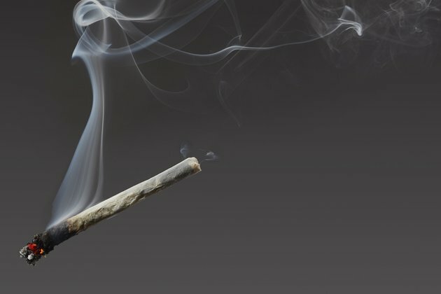 Senate hopeful smokes pot in campaign ad