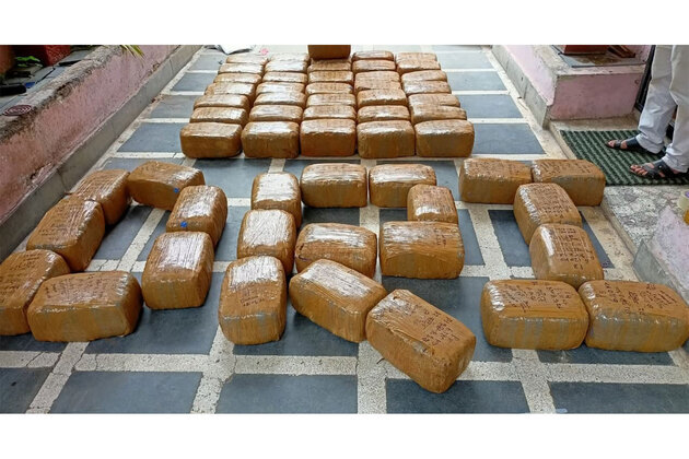 Chhattisgarh: DRI arrests 4 drug traffickers, seizes 375.95 kg ganja, 2 trucks