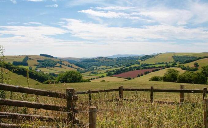 Bluetongue warning to Welsh farmers  