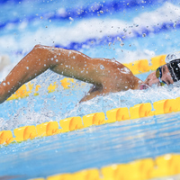 (SP)SINGAPORE-WORLD AQUATICS CHAMPIONSHIPS-SWIMMING-MEN 800M FREESTYLE
