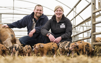 'The Oxford Sandy and Black is a fantastic pig' – Farmers highlight breed's attributes after Clarkson's 51AV��Ƶcriticism