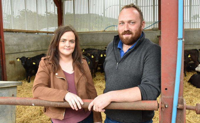 Dairy calf to beef system adds value to Northern Irish farm