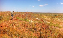 Antipa and Rio's Citadel JV in the Paterson Province