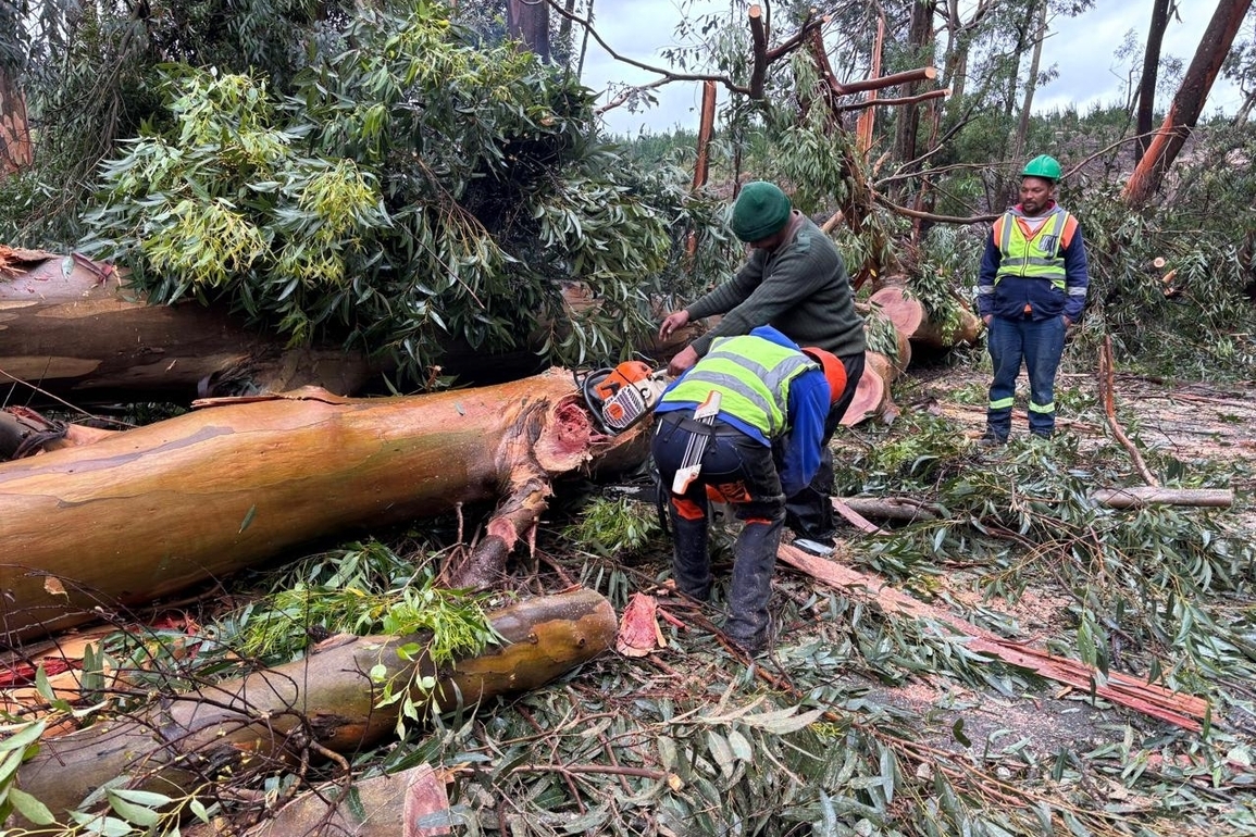 SOUTH AFRICA-GARDEN ROUTE-FLOODING