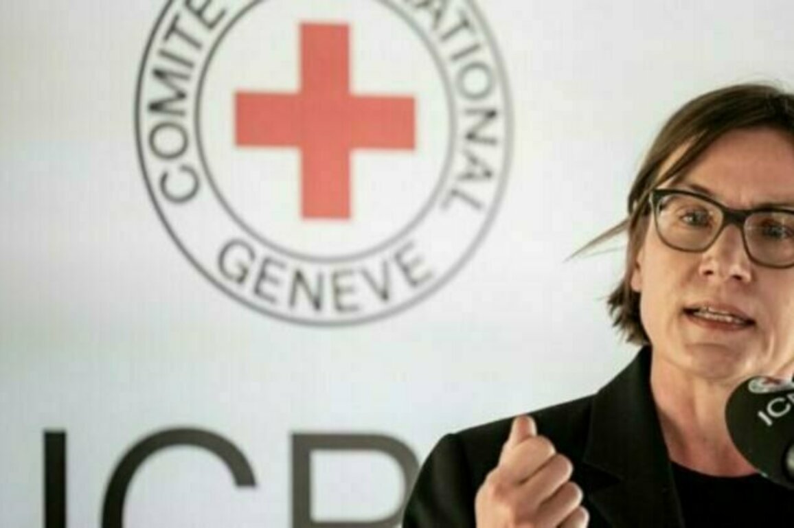 ICRC president calls to end abhorrent suffering in Gaza