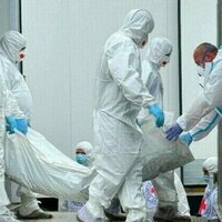Russia delivers remains of over 1,200 troops to Ukraine  sources