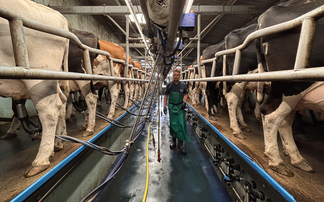 Organic Devonshire dairy farm benefits from monitoring technology