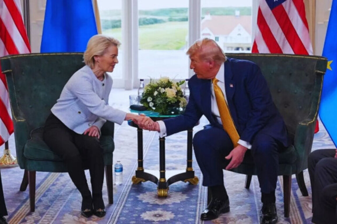EU Seeks Deal to Defuse Trumps Greenland Ambitions and Protect NATO