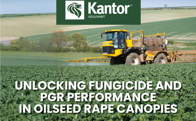 Partner Insight: Unlocking Fungicide and PGR Performance in oil seed rape canopies  