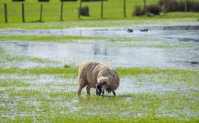 Predicted flash floods likely to cause major problems on farm 