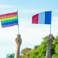 Paris accuses US of interference in French firms DEI policies