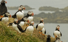 'Painfully clear': Report warns the UK is running out of time to deliver on nature promises