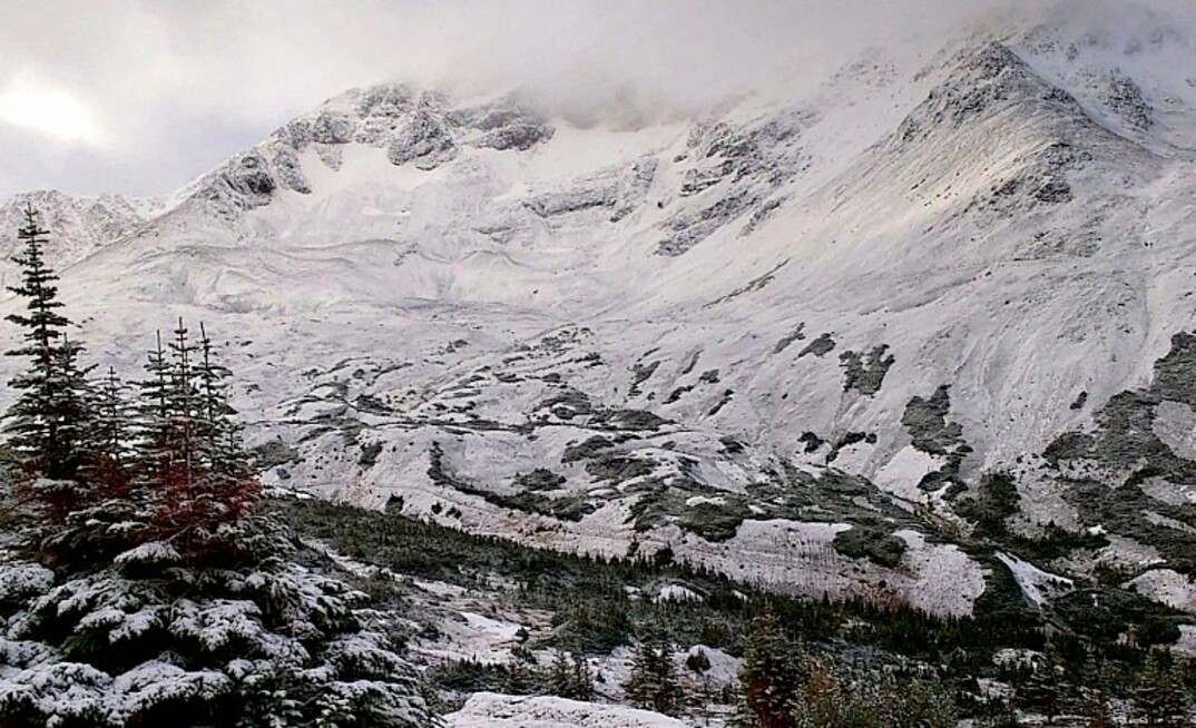 Surge's Berg project in British Columbia, Canada. Credit: Surge Copper