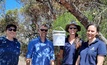 Kate Muirhead, SARDI (left), Dr Kym Perry, SARDI, Lizzie von Perger, Stirlings to Coast Farmers, and Svetlana Micic, DPIRD place snails with parasitic flies into release buckets as part of a biocontrol trial at Wellstead in WA. Picture courtesy DPIRD. 