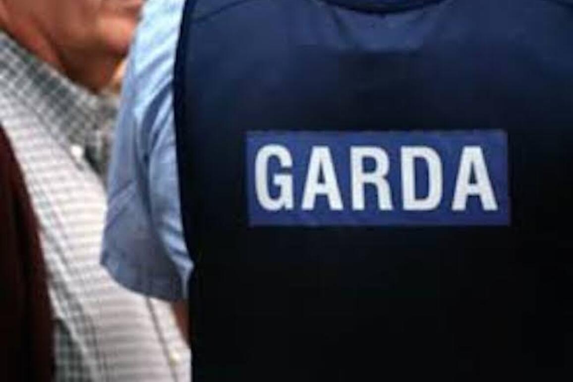 Driver dead after single-vehilce crash in Co Cork