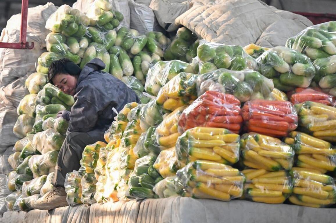 Economy&Life | NW China's Xinjiang ensures vegetable, fruit supply amid cold wave