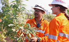  Carrying out rehabilitation at Weipa