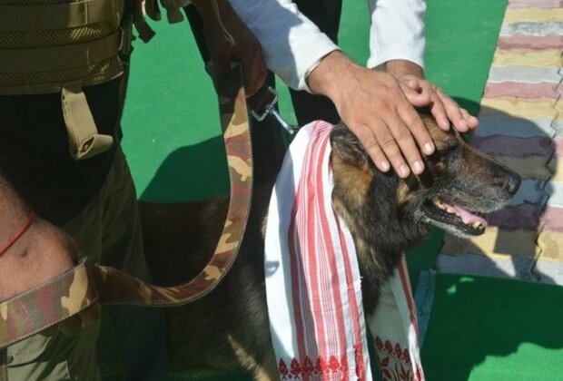 Assam: K9 dog squad helps forest officials track Rhino poachers