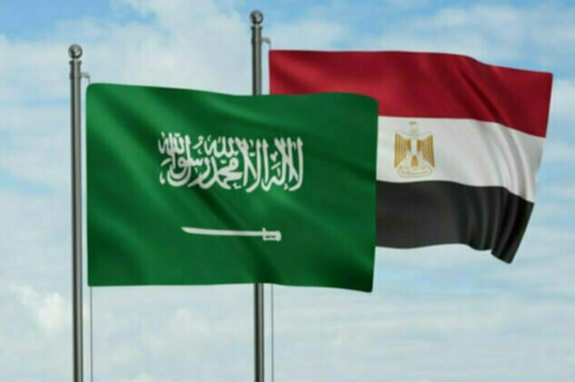 Saudi Arabia, Egypt call for preserving Syrias unity and sovereignty