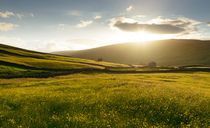 Farmers encouraged to weigh up land use options