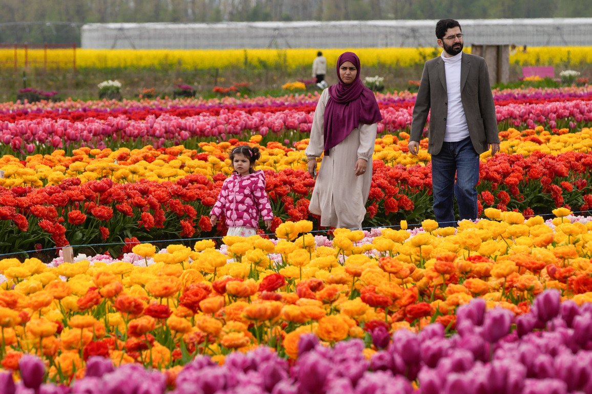 CANADA-ABBOTSFORD-TULIP FESTIVAL