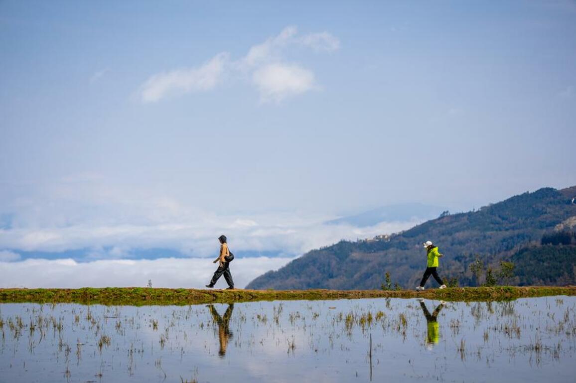EcoChina | China makes headway on biodiversity protection