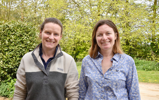 Beyond the bread and butter – multiple income streams baked into success of organic arable farm