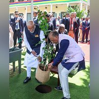 PM Modi, Mauritius PM Ramgoolam jointly plant sapling under Ek Ped Maa ke Naam initiative