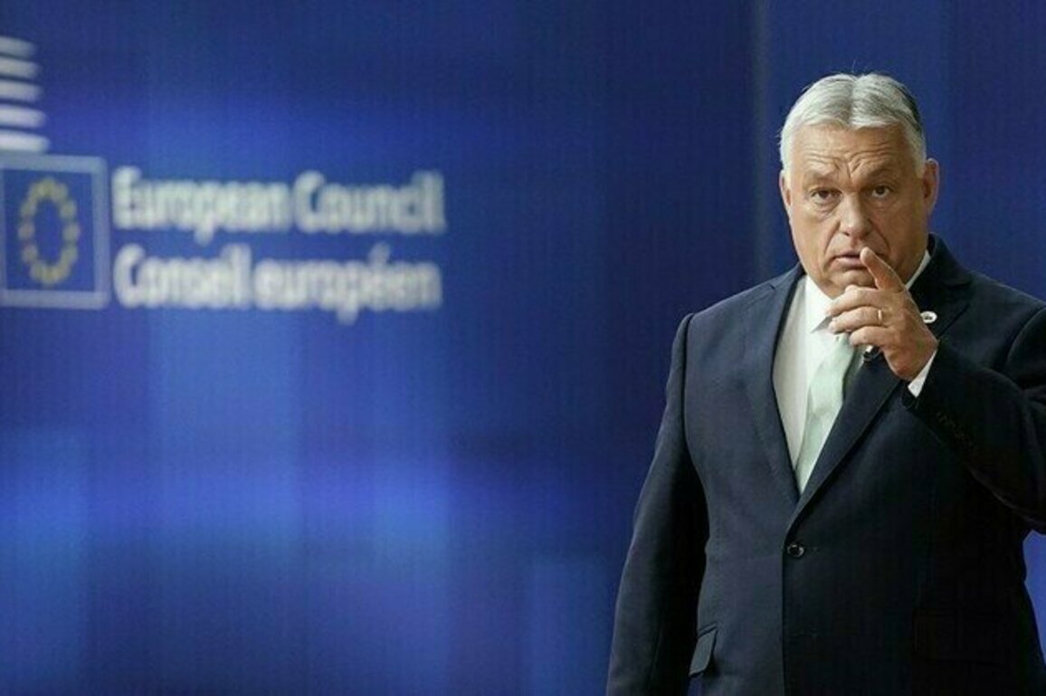 Brussels budget plan could destroy EU  member state
