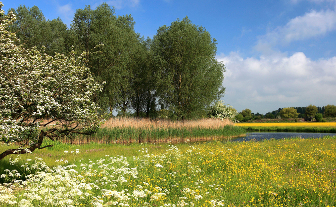 Peterborough City Council puts farms up for sale