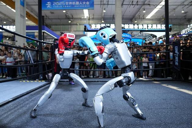 Yearender: China's humanoid robots step from spectacle toward scalable industrial reality