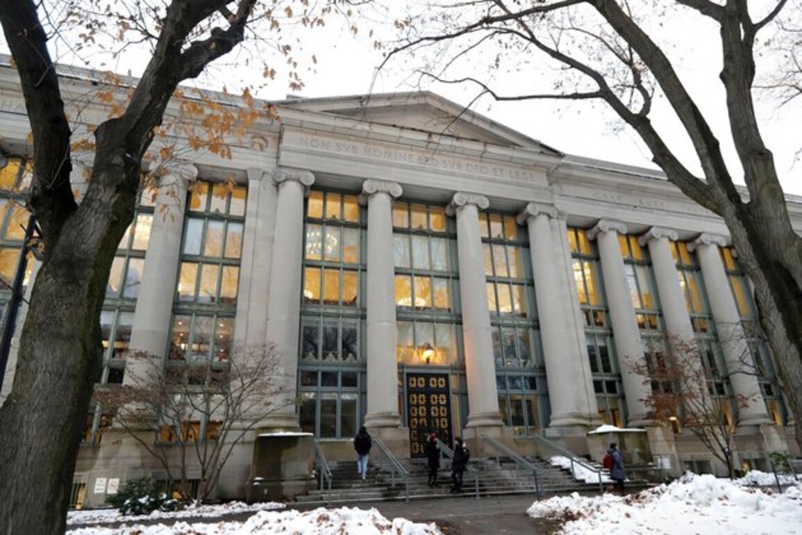 Legal Experts Say ICE's Foreign Student Directive Is Enforceable