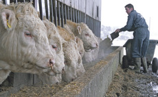 Defra to introduce methane suppressing livestock feed