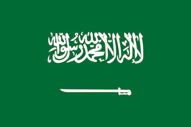 Saudi Arabia projects 2024 budget deficit at 1.9 pct of GDP