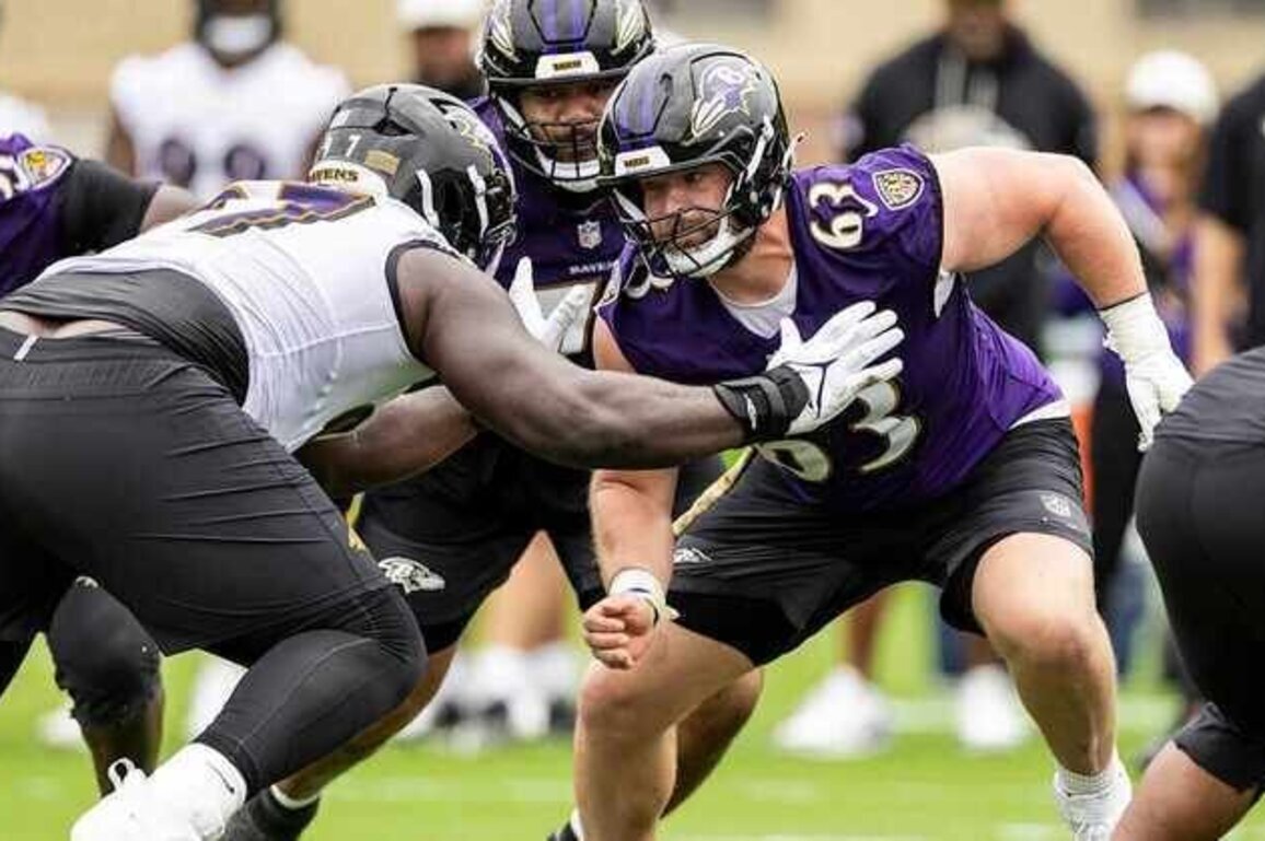 How Ravens Minicamp Could Provide More Insight