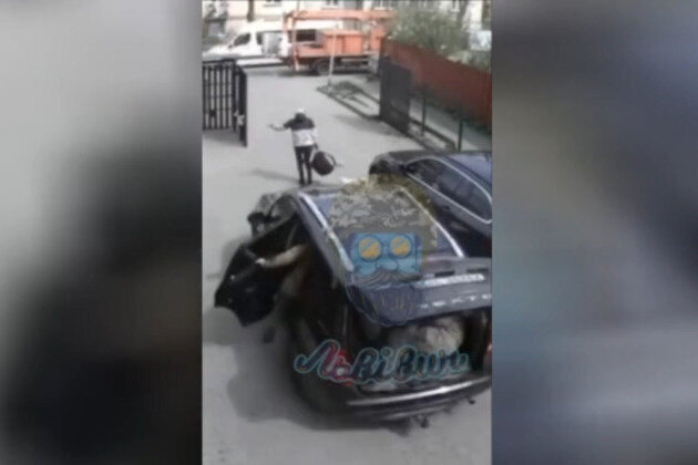 Draft officers run over mother of forcibly mobilized Ukrainian man 