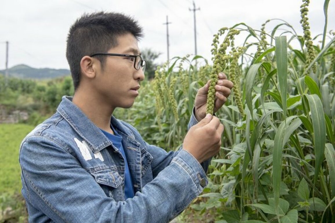 University graduate shines in agricultural business in rural China