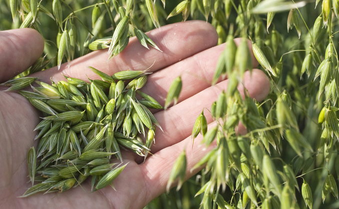 UKs first oat testing laboratory will ramp up sustainability research