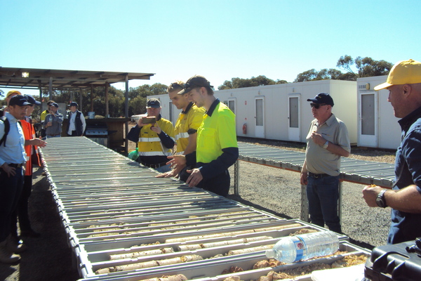 Goyder and McFadyen outline plans for mid-tier gold momentum